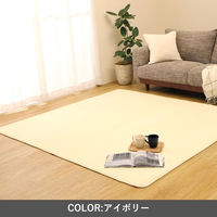 イケヒコ ＭＡＸリラ ラグ 2000×3000mm ブラウン 1280130061403 1枚（直送品）