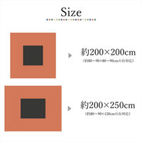 イケヒコ CFドット ブルー 200×250cm 1330020040802 1個（直送品）