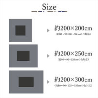 イケヒコ TWワッフル ブラウン 200×200cm 1330220060702 1個（直送品）