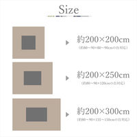 イケヒコ エネル ネイビー 200×250cm 1330330190802 1個（直送品）