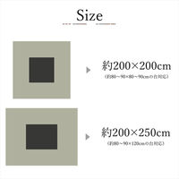 イケヒコ パール ベージュ 200×250cm 1330760020802 1個（直送品）