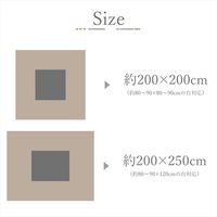 イケヒコ ベルン2 ベージュ 200×250cm 1330980020802 1個（直送品）