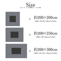 イケヒコ ラハティ ネイビー 200×200cm 1331090190702 1個（直送品）