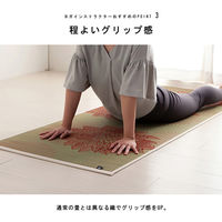 イケヒコ フラッフィー - 66×185cm 1331300010303 1個（直送品）
