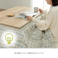 イケヒコ カペラ アイボリー 200×300cm 1331390140902 1個（直送品）