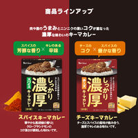 ハウス食品 しっかり濃厚チーズキーマカレー　1セット（1個（150g）×4）　レトルト　レンジ対応