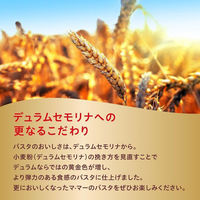 日清製粉ウェルナ マ・マー 早ゆで6分スパゲティ 太麺 2.0mm チャック付結束タイプ (500g) ×1個（わけあり品）