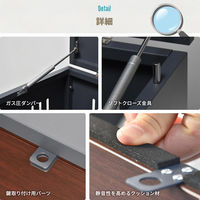 【軒先渡し】B.Bファニシング 屋外ゴミ収納庫 Lucre Sサイズ 幅640×奥行475×高さ615mm 110L ベージュ 1台（直送品）