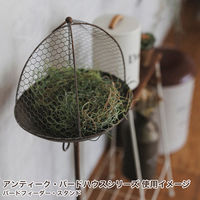 Habiter(アビテ) バードハウス・スタンド MY-106-BR 1個（直送品）