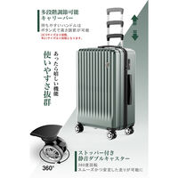 超軽量・ストッパー付Wキャスター・物掛けフック【NT-GB0701 Plus 】 NT-GB0701 Plusミッドナイトグリーン M 1台（直送品）