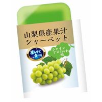 シャーベット チューペット 棒アイス 個包装 暑さ対策 山梨県産果汁凍らせて食べるシャーベット 1セット（1個×5）