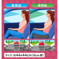 BONFORM クッション 底上げクッション 440×440×90mm ブラック 5231-12BK 1個（直送品）