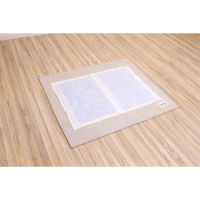 サンベルム ペットマット 100×86cm PallyPallyPET 犬 猫 はっ水 アイボリー 494352 1個（直送品）