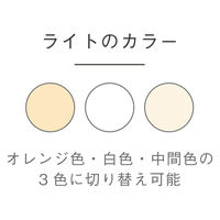 ケーアイジャパン テーブルライト ガラス製 無段階調光 充電式 クラルテ ボール LEDランタン 495439 1個（直送品）