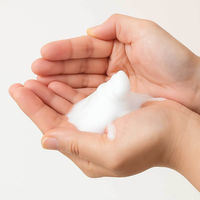 ルークラン ペット シャンプー ループ ビューティー ドライシャンプー 495864 1個（直送品）