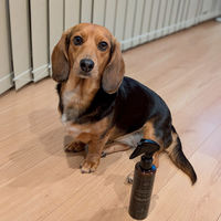 ルークラン ペット スプレー ループ ビューティー グルーミングスプレー 495863 1個（直送品）