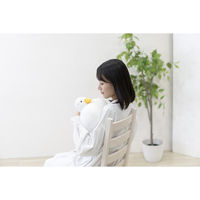 プレーリードッグ ぬいぐるみ おもぬい アニマル アヒル 498638 1個（直送品）