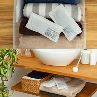 アストロ 消臭 吸湿 桐の炭 S 2個セット 616-52 1セット(2個)（直送品）