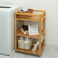 アストロ 消臭 吸湿 桐の炭 M 616-53 1個（直送品）