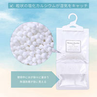アストロ 除湿パック Moisture Absorber 10Set 730-74 1セット(10個)（直送品）