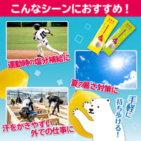 塩分チャージ ゼリー 個包装 お配り菓子 塩ぷる　レモン・ウメ　2種アソート 1セット(1個×3)