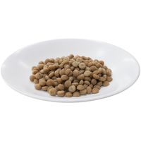 デビフ クローバースタイル 素材の旨味 半生タイプ シニア犬用 鶏肉 国産 200g（50g×4袋）12袋 デビフペット ドッグフード