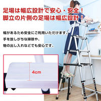 万方商事 伸縮脚立 折りたたみ式 コンパクト ny187 1台（直送品）