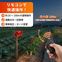 高感度赤外線搭載ソーラーアラーム 2個セット 防犯アラーム 人感センサー ソーラー 防獣 防犯 害獣撃退器 SSA02 EVERSAFE（直送品）