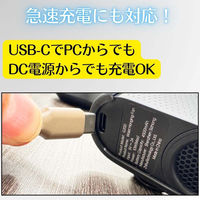 ケイ・エス・ケイ ベルトファン(グリーン) 73×42×88mm G200 1台（直送品）