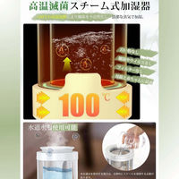 ケイ・エス・ケイ スチーム式加湿器 大容量 3L JS03 1台（直送品）