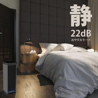 グリーンコアテック 静電気フィルタ式空気清浄機 ダブルセンサー搭載(Co2、PM2.5) BA-400 1台（直送品）