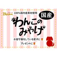 わんこのみやげ わんこのクッキー ジャージー牛乳＆フルーツミックス 国産 80g 1袋 Bloom ドッグフード 犬用 おやつ