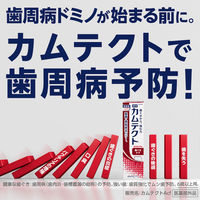 歯磨き粉 カムテクト 歯ぐきケア 115g Haleonジャパン