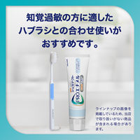 医薬部外品 シュミテクト PROエナメル やさしくホワイトニング エナメルケア 歯磨き粉 90g 1本 Haleonジャパン