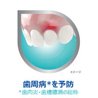 ポリデント デンタルラボ 薬用ハミガキ【医薬部外品】 歯周病 (歯肉炎・歯槽膿漏) 予防 100g Haleonジャパン