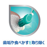 ポリデント　部分入れ歯・マウスピース専用ブラシ (色はお選びいただけません)  1本 Haleonジャパン