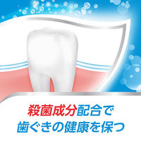 歯磨き粉 アクアフレッシュ クリアミント 140g Haleonジャパン