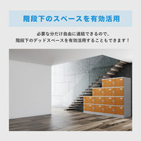 Netforce ネットフォース ウェック プラスチックロッカー 15人用 3列5段 シリンダー錠 Sサイズ 扉：グリーン 1台（直送品）