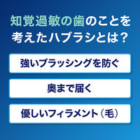Haleonジャパン シュミテクト コンプリートワン EX ハブラシ コンパクト ふつう 1本 4901080724311（直送品）