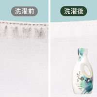 大人のさらさ 洗濯洗剤 液体 ホワイトティー＆フローラルの香り 詰め替え 超ジャンボ 1260g 1セット（1個×3） P＆G