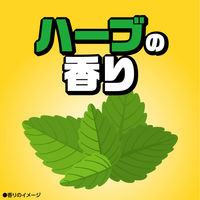 カメムシよけ 忌避剤 対策 カメムシコロリ 貼るタイプ 1セット（1箱（2個入）×2） カメムシ対策 ベランダ アース製薬