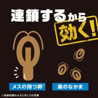ゴキブリ 駆除剤 置き型 ブラックキャップ フィットタイプ 1セット（1箱（32個入）×2） 殺虫剤 ゴキブリ退治 除去 アース製薬