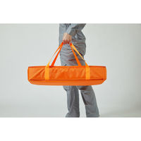 アイリスオーヤマ LED小型バルーンライトLWB-22000FK LWB-22000FK 1個（直送品）