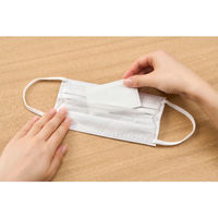 アイリスオーヤマ ナノエアー うるおい保水ぬれマスク プリーツタイプ ふつうサイズ3枚入 NWE-PK3 1セット(3枚入)（直送品）