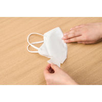 アイリスオーヤマ ナノエアー うるおい保水ぬれマスク 立体タイプ ふつうサイズ20枚入 NWE-RK20 1セット(20枚入)（直送品）