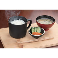 カクセー オールステンレス包丁3点セット+レンジ御膳 a36027 1セット(4点入)（直送品）