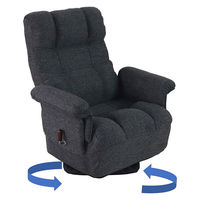 平インテリア産業 回転高座椅子 ミュート ワイド 折り畳み式 アイボリー SS-260HS WIDE L-25IV 1台（直送品）