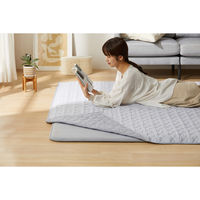 アイリスオーヤマ はがして洗える Ｈａｇａｓｈ アンダーラグ 厚み25mm 幅1700×奥行2250mm 1枚（直送品）