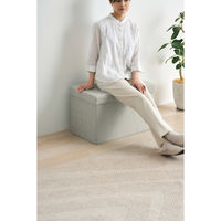 アイリスオーヤマ ３ＷＡＹ引き出し収納ボックス 引き出し４つタイプ 幅600×奥行375×高さ385mm グレー 1台（直送品）