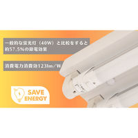 日本防災スキーム 防災用直管型LED ライトセーバーtsuita G13NW2100LM 1個（直送品）